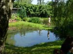 2014_Pfingstwanderung_Losheim_Felsenweg_0530